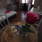 Romantika Panzio 4* Gyula