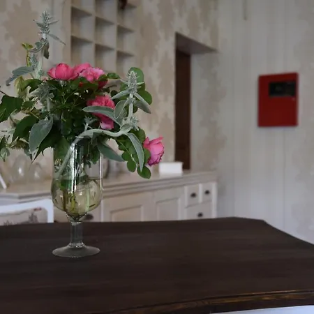 Romantika Panzio Guest house Gyula