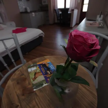 Romantika Panzio 4* Jula
